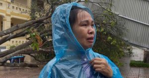 Khám Phá Những Mái Trường Thương Tồn và Nỗi Đau Của "Người Cầm Lái