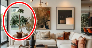 4 Dấu Hiệu Ít Ai Biết: Khi Xuất Hiện Trong Nhà, Đánh Dấu Lộc Tài Đang Gõ Cửa