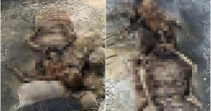 Điện thoại đánh mất bất ngờ được trả lại, chủ nhân rụng rời khi phát hiện bí mật ẩn giấu bên trong!