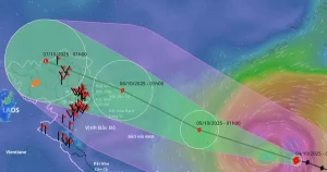 Bão Matmo Di Chuyển Nhanh, Đổ Bộ Nguy Hiểm Vào Top 10 Khu Vực Đáng Lo Ngại