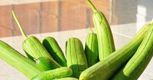 Mua 5 loại rau mùa thu: Ngon bổ rẻ, yên tâm sức khỏe!