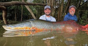 Cần Thủ Câu Được Cá Khổng Lồ Dài 2,2 Mét Nặng 130kg Trên Sông!