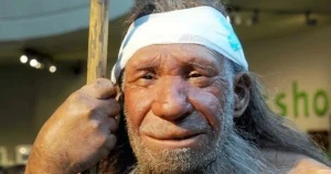 Phát Hiện Mới: Ản Xác Động Vật Khiến Tổ Tiên Chúng Ta Thành Con Người