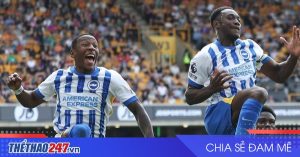 Trực tiếp Wolves vs Brighton: Xem trận đấu hấp dẫn lúc 20h00 hôm nay, 5/10!