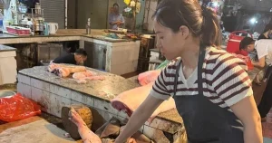 Kỹ Sư Thú Y Tích Cực Bán Hơn 60 Tấn Lợn Bệnh Cho Người Dân Làm Thực Phẩm