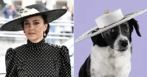 "Thú cưng sang chảnh: Chó đội mũ Hoàng gia của Vương phi Kate"
