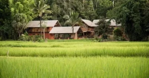 "Bán chung cư 6,5 tỷ, đôi vợ chồng trẻ hối hận vì 'sống chậm'"