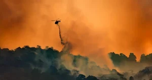 Mức CO2 kỷ lục: Nóng lên toàn cầu gia tăng đáng lo ngại!