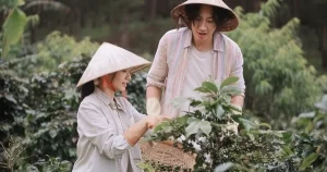 "Tay Anh Giữ Một Vì Sao: Dấu Hiệu Báo Hiệu Sự Trở Lại Của Phim Tình Cảm"