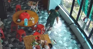 "Ngỡ ngàng trước tình huống xử lý rắn lớn vào nhà"