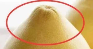 "Khám Phá Quả Tốt Hơn Thịt: Chợ Việt Đang Bán Sẵn!"