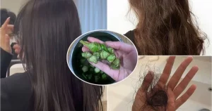 Khôi phục mái tóc khô xơ chỉ sau một lần đơn giản!