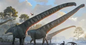 Quái vật Trùng Khánh "trỗi dậy" từ đá đỏ tía nặng hàng chục tấn!