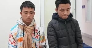 "Thiếu tiền chơi game, 2 thiếu niên táo bạo trộm đồ từ ô tô"