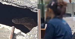 "Rúng động Thái Lan: Thi thể bé gái sơ sinh và lời khai mẹ 19 tuổi"