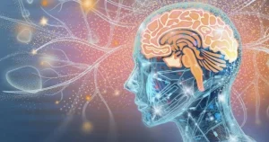 "Bộ Não Con Người Đỉnh Cao Ở Độ Tuổi Nào?"