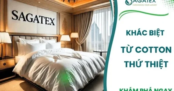 "Giấc Ngủ 5 Sao: Tại Sao Cotton Chính Hãng Lại Được Lựa Chọn?"