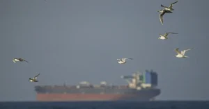 "Soi Kẻ Lừa Đảo: Tàu Chở Dầu Giả Đổ Bộ Eo Biển Hormuz!"